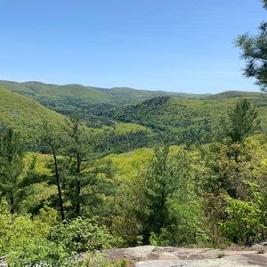 Meet your Posher, Carla